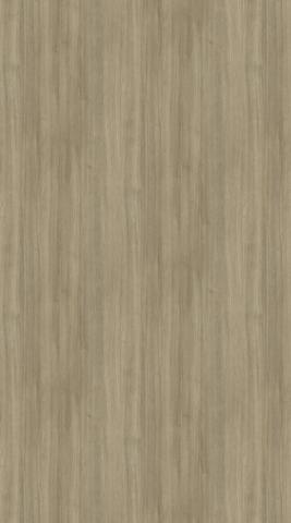 The Chameleon | Tafisa